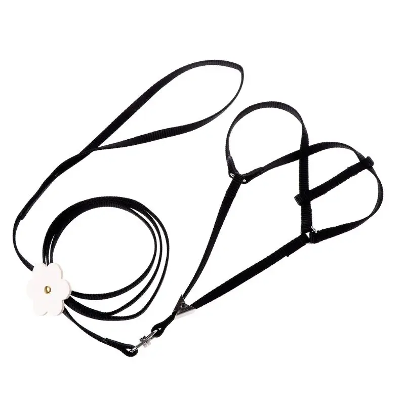 

Pet Harness Training Rope Small Pets Parrot Bird Parakeet Leash Outdoor Adjustable Strap