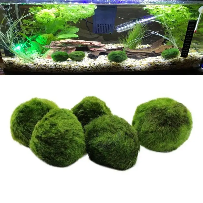 1 шт. декоративное Aegagropila мини искусственное моделирование Cladophora мох шар водное растение для аквариума декор