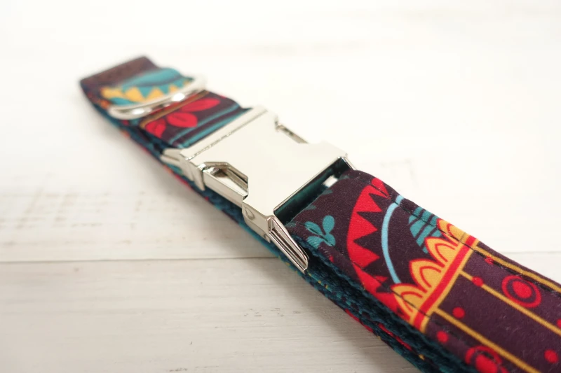 Designer Dog Collars(16)