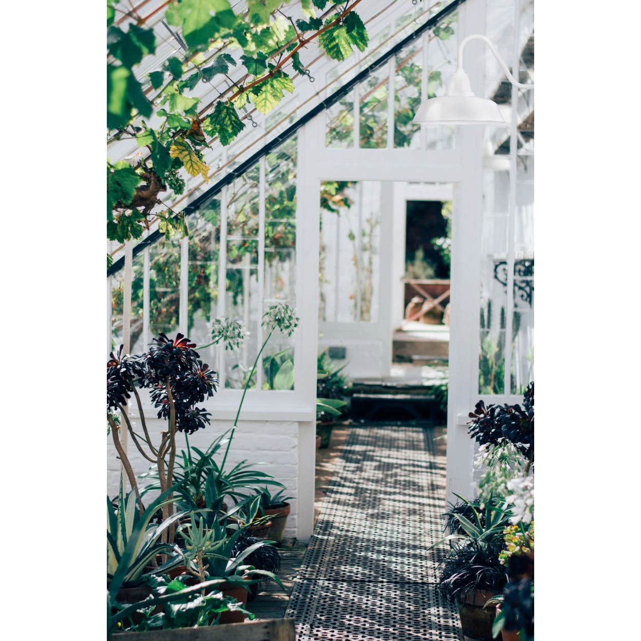 10 Rustic Goodyear LED Barn Light in White (1)