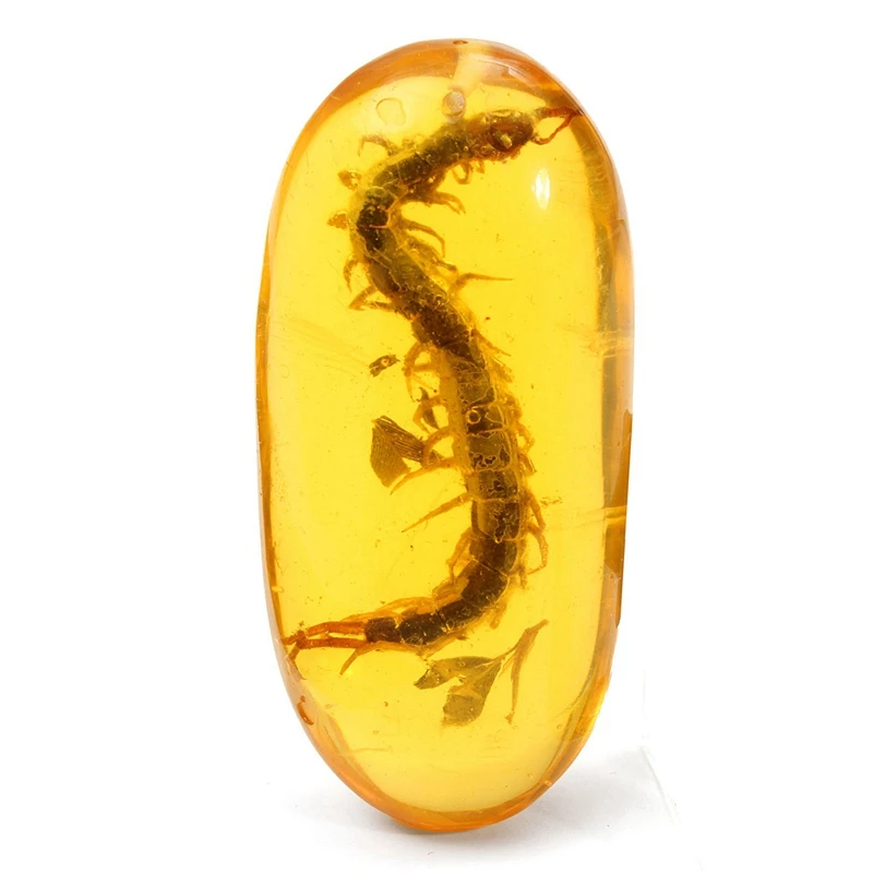 

New Arrival Burmite Amber Plants Insects Real Centipede Pendant Gemstone Jewelry Sweater Chain Accessories Ornament Crafts Gift