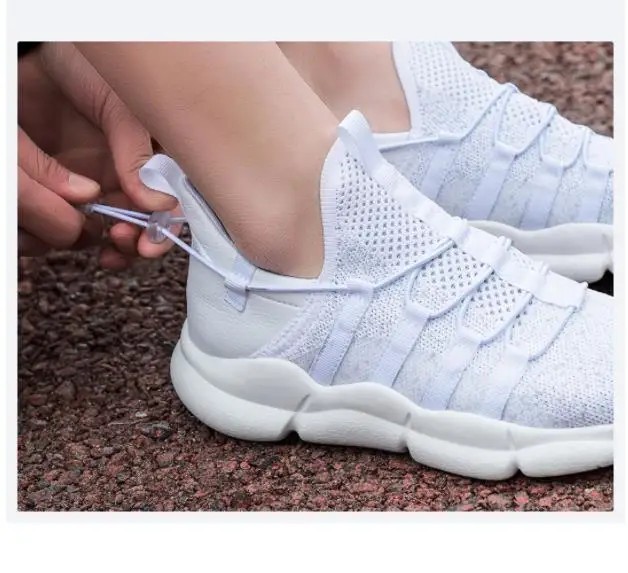 36020190319222824050