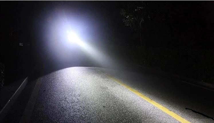 1931736169_989009651_