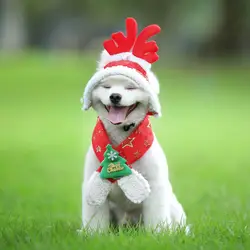 Аксессуары для рождественских костюмов для собак, теплая Красная шапка для домашних животных, набор шарфов, съемная шапка-рога