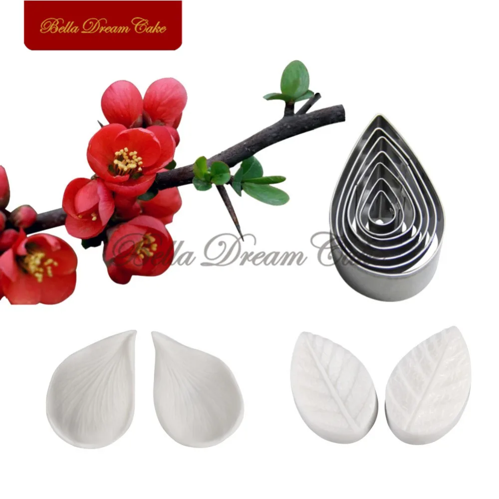 Plumeriabegonia-1