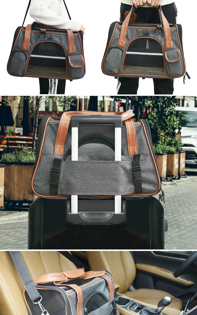 Travel Dog Carrier  (4)