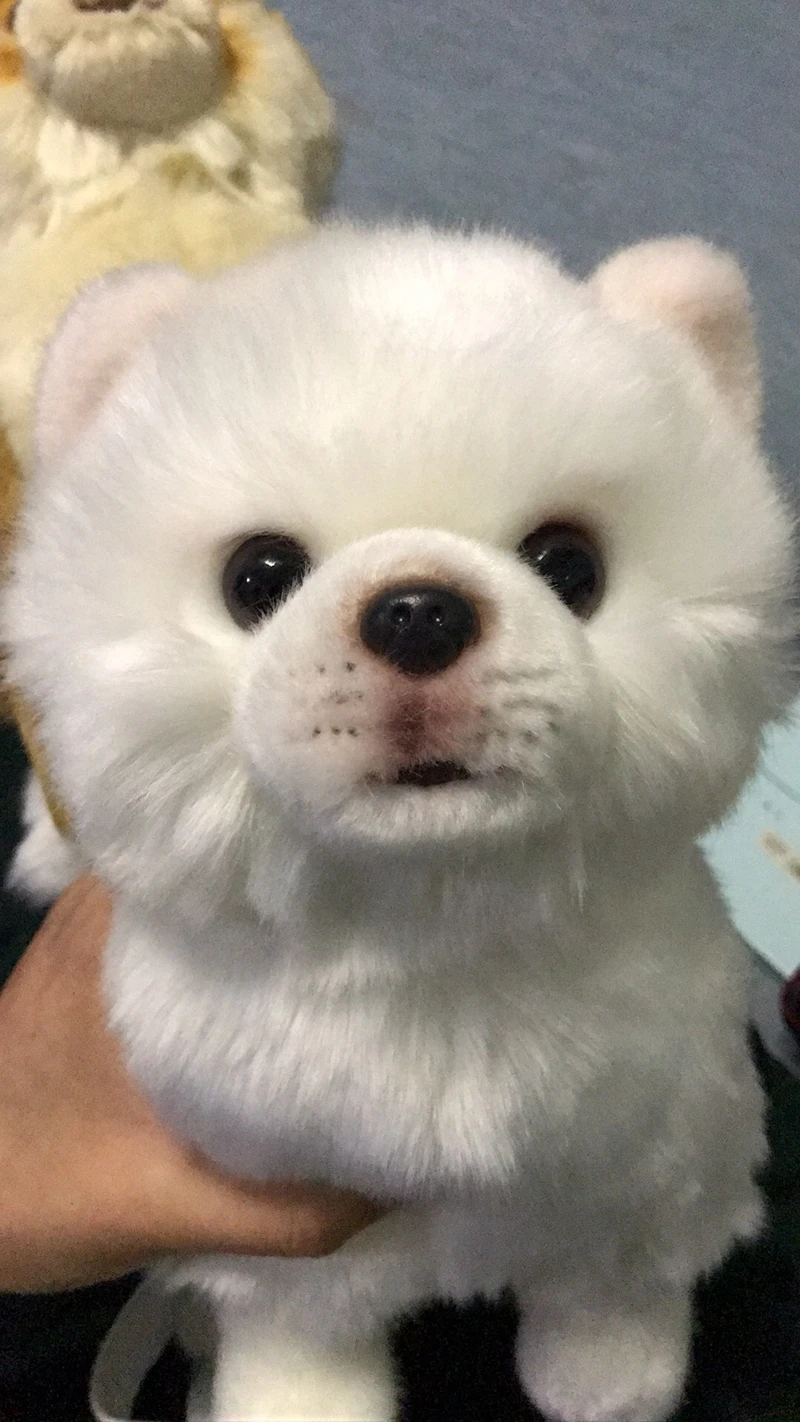 Dorimytrader Lovely White Dog Pomeranian Plush Toy Stuffed Cute Quality Animals Dogs Doll for Kids Gift 28cmX12cmX22cm DY50058(8)