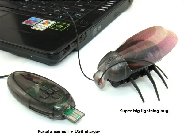 lightning bug toy