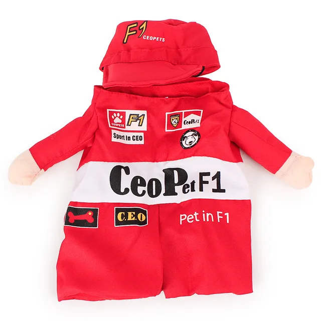 pet costume (3)