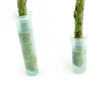 

Plastic Floral Water Tube With Cap Fresh Flower Water Container Wedding Party Event Gift Stem Tube 4cm 200pcs / 7.5cm 100pcs