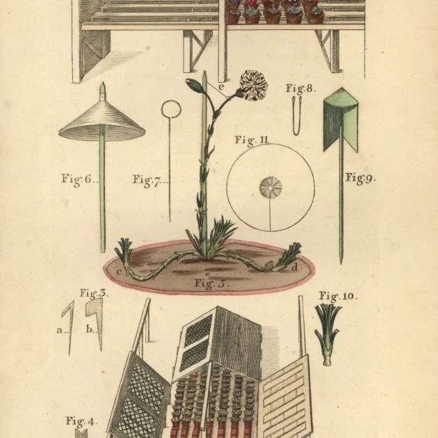 Gardening Tools And Equipment  Circa 1800 Poster Print By <ALIMT >&reg;</ALIMT> Florilegius Mary Evans (24 X 36)
