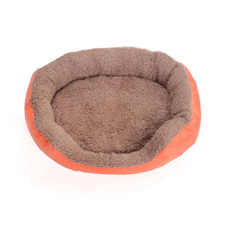 3943857399_478176123