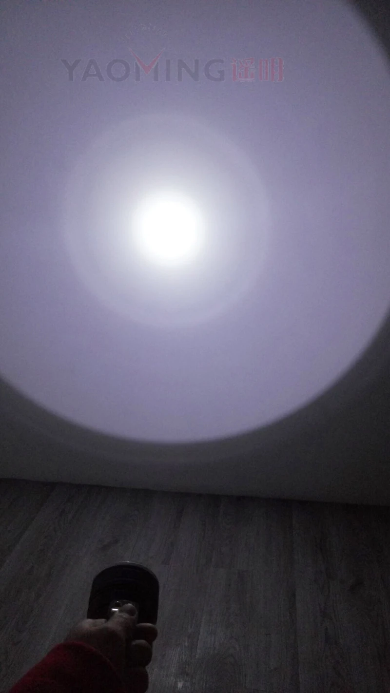 3030