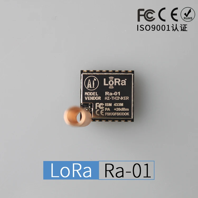 RA-01 3
