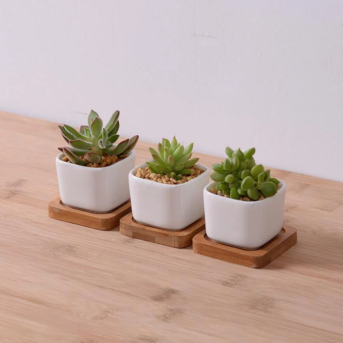 Free Shipping White Creamic Flower Pot With Bamboo Tray Indoor ... Free Shipping White Creamic Flower Pot With Bamboo Tray Indoor ...
