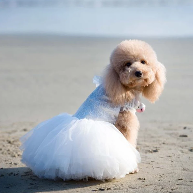 

Pet Dog Dress Handmade Embroidery Puppy Clothes Skirt Lace Princess Wedding Tutu Dress For Small Dogs Art Photo Chihuahua Pug