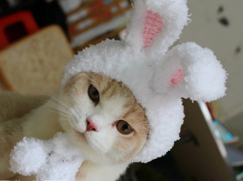 [MPK Store] шапка для кошки с заячьими ушками, головной убор для кошки, капюшон для кошки, 2 размера