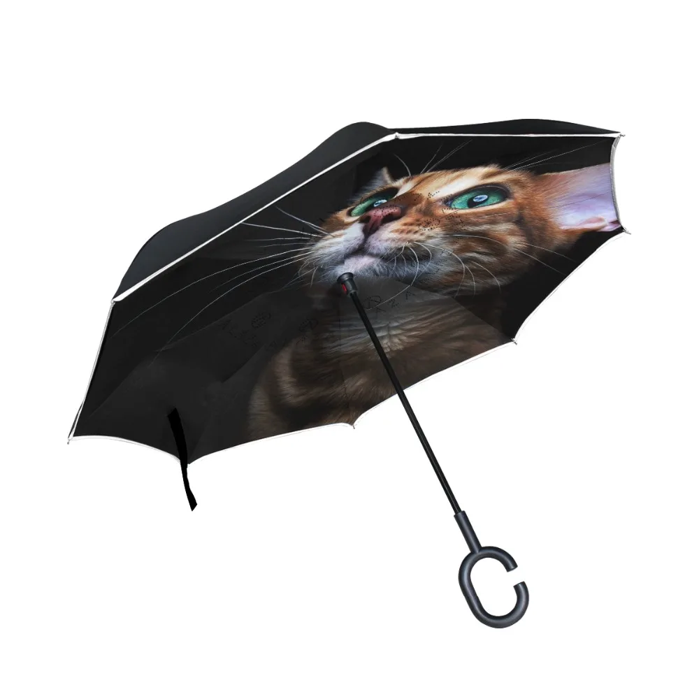 g3111987p183c217s313_0