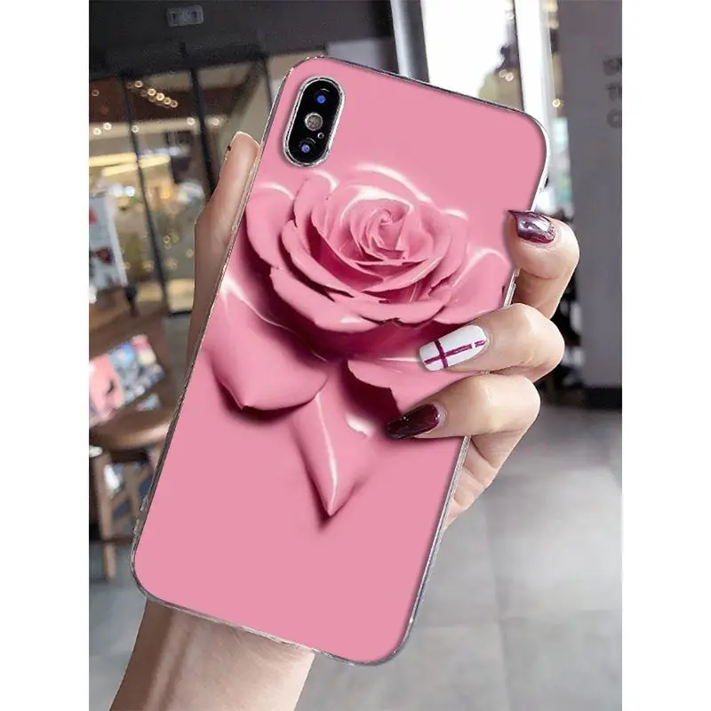 Newest special stylish and beautiful rose