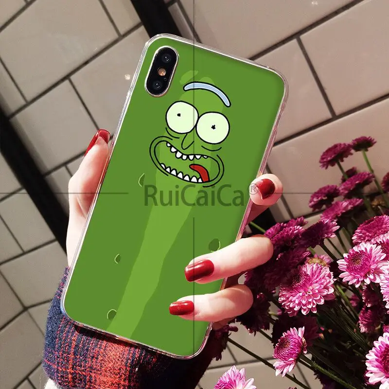 Rick and Morty pickle rick