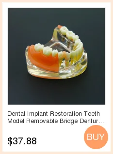 Base de Silicone Mandíbula Edentulosa Dental Modelo Completo Molde Bloco 8 Beleza e saúde