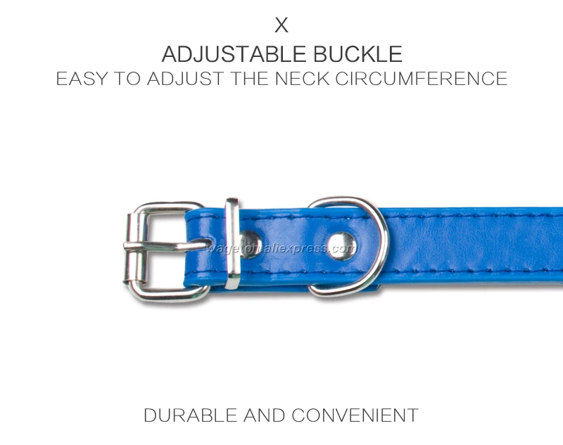 6 pet collar 