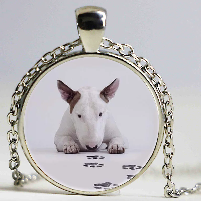 Bull Terrier Dog Cute Animal Photo Glass Long Chain Necklace Steampunk Silver Pendant Jewelry Best Gift For Friend Drop Shipping