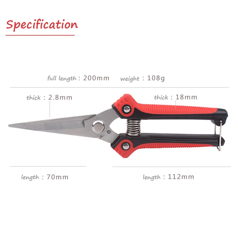 7829963905_1439059729