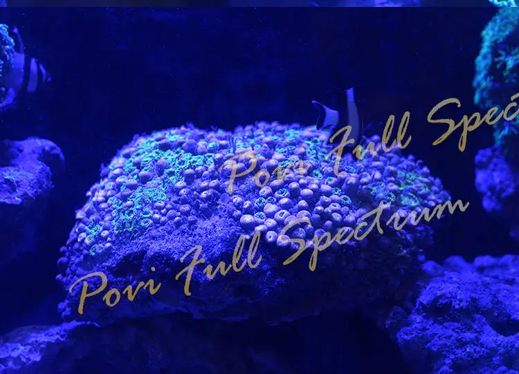 POVI Свет Аквариума Сид 50W30W коралловый светодиодное освещение для Мелкой коралловом море/глубоководных Коралловых рифов Fish Tank