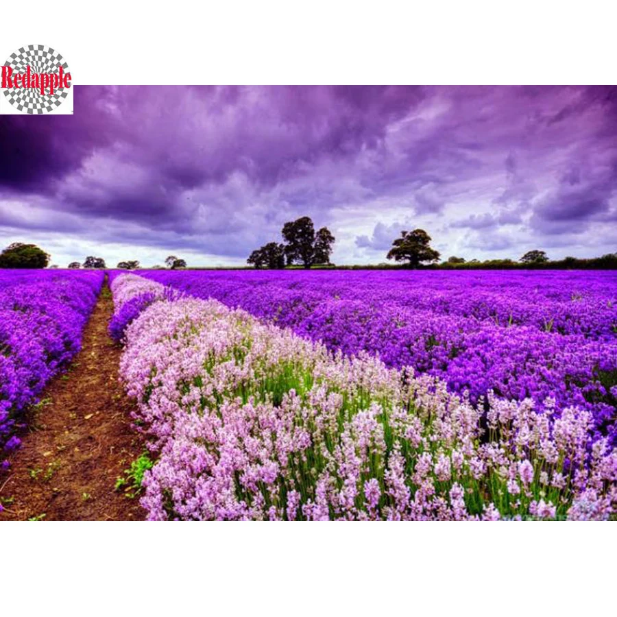 

5D Diamond Embroidery Provence Landscape DIY Diamond Painting Lavender full round Diamond Mosaic Rhinestone Home Decor painting