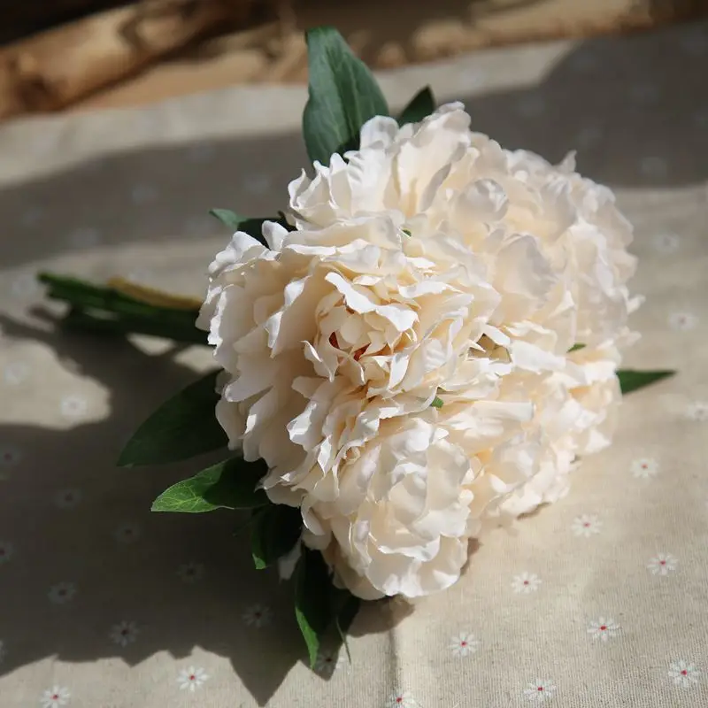 6009840856_1245478559