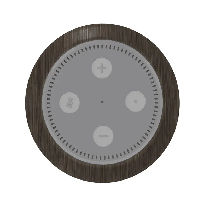 A303_3_Echo Dot