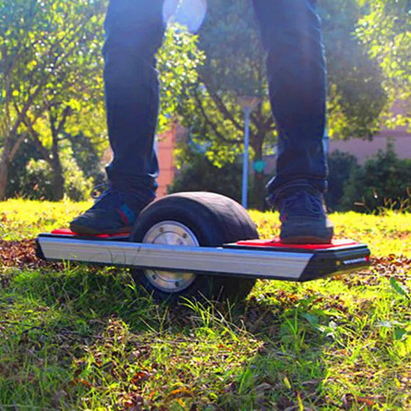 Off road scooter Trotter one wheel electric scooter with 700W 48V