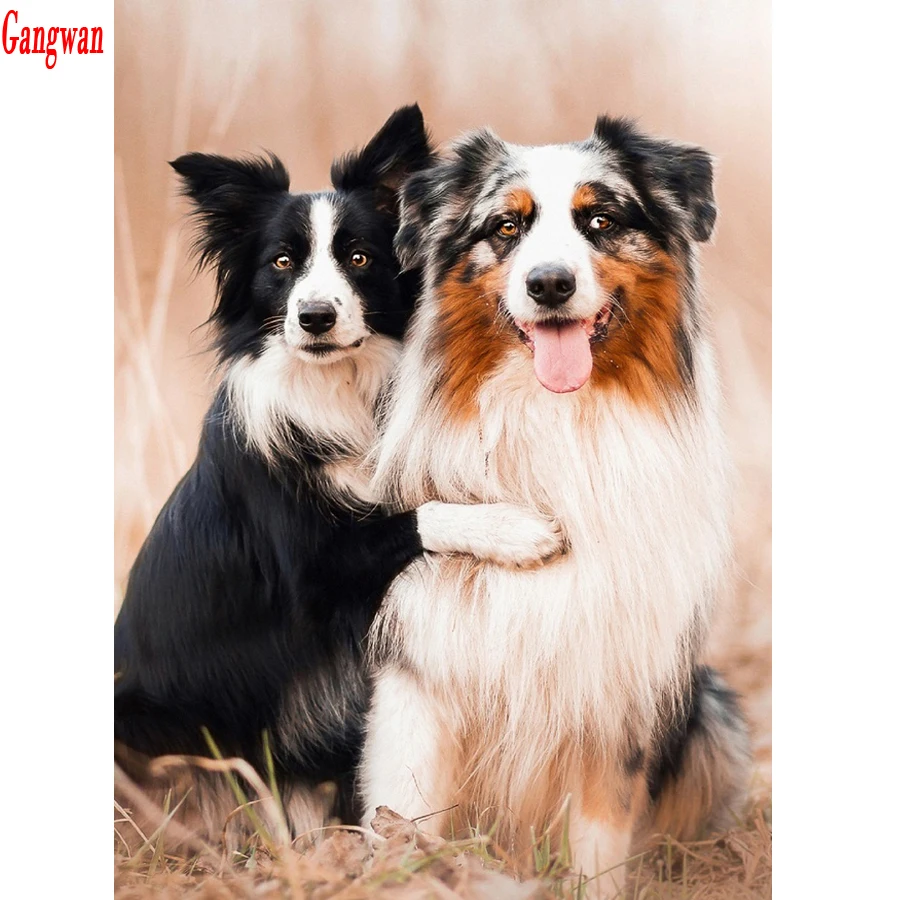 full diy Diamond painting mosaic diamond embroidery beads Puppy Bernese Mountain Dog animal 5d cross-stitch kits handwork decoration