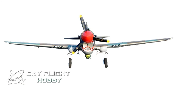 p40 c-5