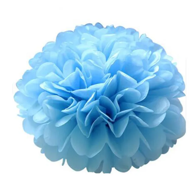 Download 10pcs 25cm Multi Color DIY Tissue Paper Poms Flower Balls ...