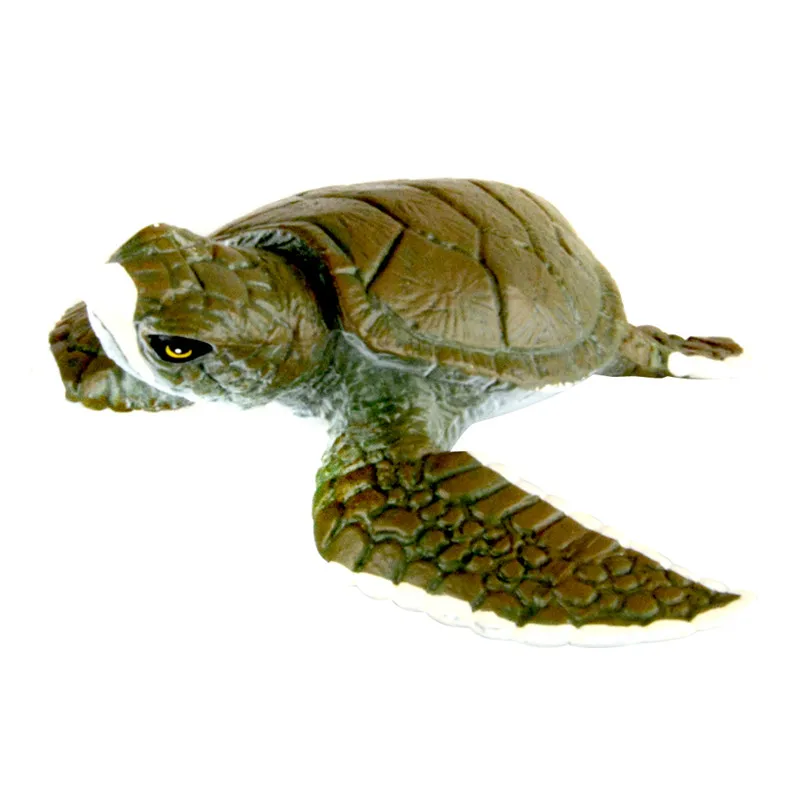 My turtle store coupon code