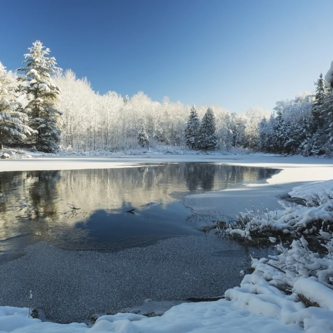 Winter landscape with ice on a lake; Ontario  Canada Poster Print (38 x 24)