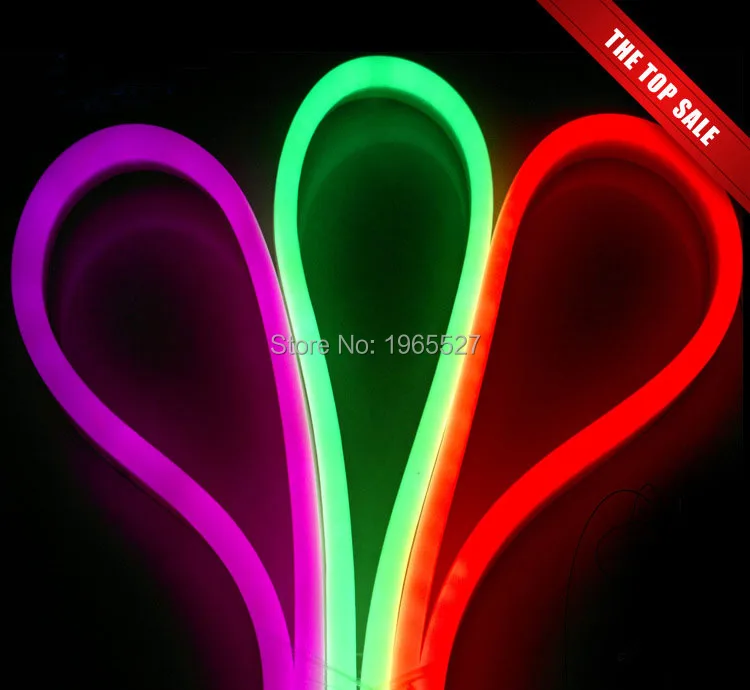 

Hot 100% Real RGB Color flexible strip 5050 smd RGB LED Neon Light Flex,60leds/m; Waterproof IP68; AC110V 220V input