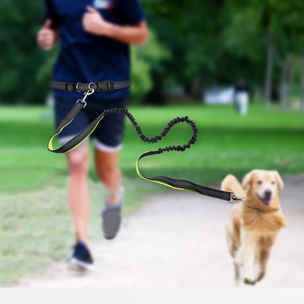 Adjustable Nylon Pet Dog Traction Rope Dog Trainings running leash