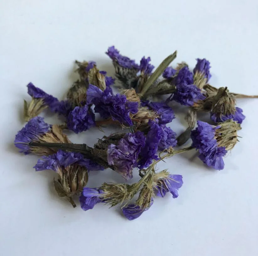 (SF)-