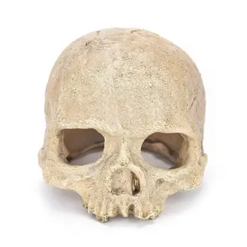 

Aquarium Decorations Resin Simulation Skull Fish & Shrimp Breeding House Avoid Nest Fish Tank Aquarium Reptile Cave Landscaping