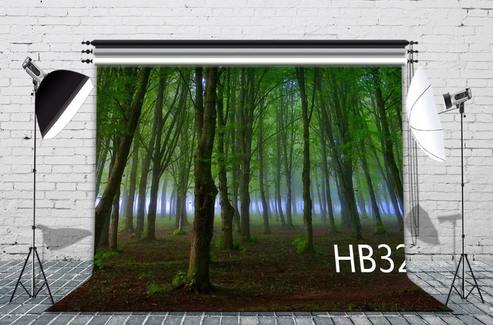 HB323
