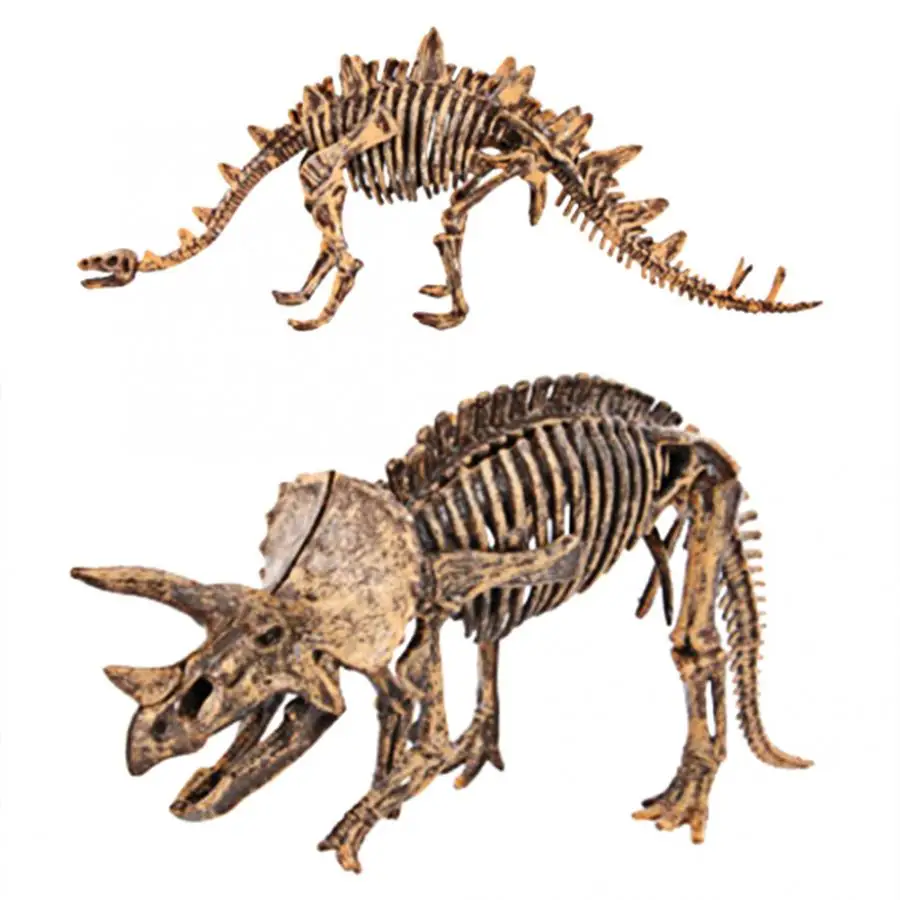 

Archaeological skeleton dinosaur fossil toy dynamic assembly dinosaur archaeological excavation toy wonderful and ideal gift