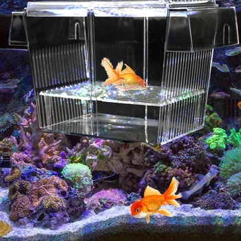 

Acrylic Fish Breeding Isolation Box Fish Tank Aquarium Breeder Box Double Guppies Hatching Incubator Aquarium Pet Supplies