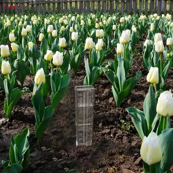 

3PCS Double Scale Rain Gauge 5 Inch Capacity Rain Water Measuring Device Garden Lawn Plastic Ground Rain Measuring