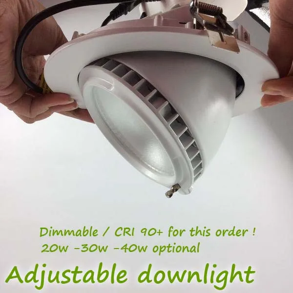 20w 30w 40w LED adjustable downlight accent lighting for commercial