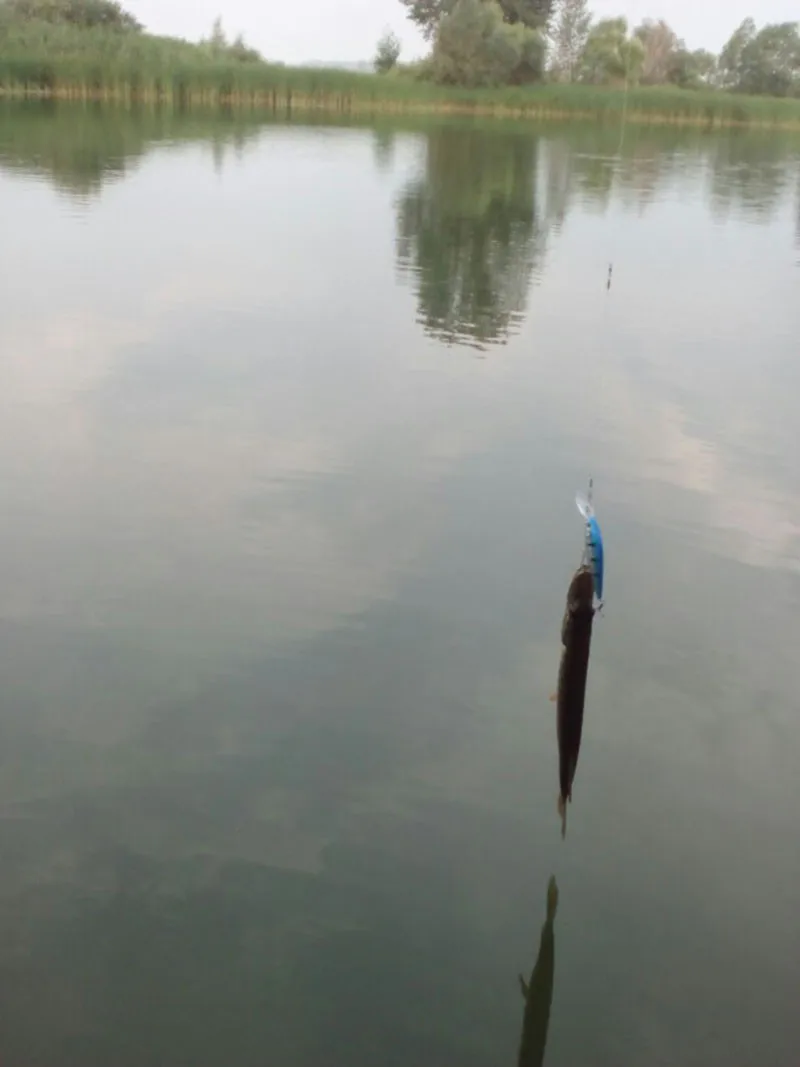 HTB1vgjiMVXXXXXUaXXXq6xXFXXXn