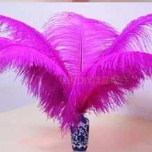 100 шт./лот 14-16 дюймов(35-40 см) ярко-розовый страусиные перья фуксия для Свадьбы Центральные Декора вечеринок Декор