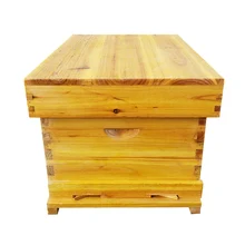 Пчела ульи полный Пчеловодство инструменты специальные пчеловодства наборы вареного воска ели пчелы Стандартный десять коробка с Сотами